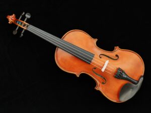 Violin